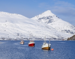Fishing Boats in Tromsø by Bård Løken - Visit Tromso